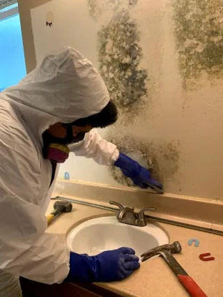 Flood Cleanup Company in Downtown LA & Marina del Rey: Fast, Trusted Water Damage Experts
