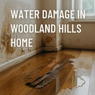 Water Damage in Woodland Hills, Tarzana & Encino: What Homeowners Need to Know