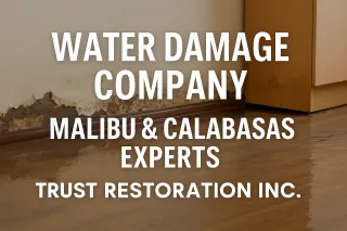 Water Damage Company in Malibu & Calabasas: Fast, Reliable, and Local Help When You Need It Most