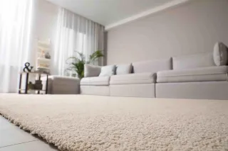 Prolonging the Life of Your Carpets