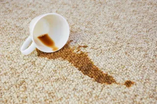 Removing Coffee Stains