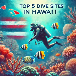 Hawaii Scuba Guide