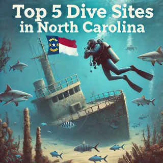 North Carolina Scuba Guide