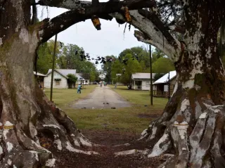 Southern Sayings 101: A Survival Guide for Anyone Moving South