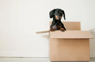 Your Essential Moving Checklist for Myrtle Beach
