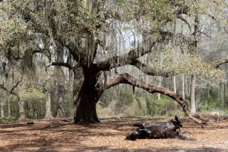 Why the South End is the Best Place to Plant Roots