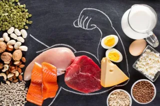 Breaking Down Macronutrients