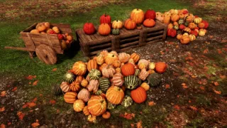 Fall winds down--what is our harvest?