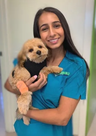 Emergency Surgery and First Aid Advice from Dr. Chanel Samo