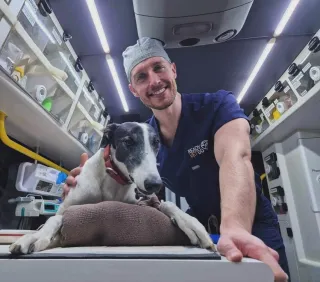 Veterinary Paramedics and Cardiac Emergencies: Insights with Dr. Paul Cunningham from ReadyVetGo