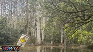 Action Before Motivation