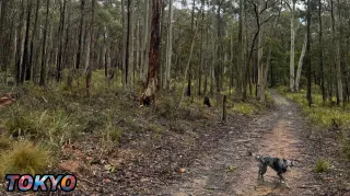 The Power of Push and Pause