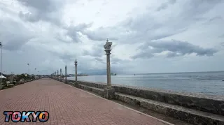 Run the Life You Have