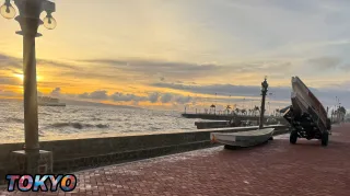 The Voice In Your Head