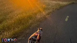 Finding Joy In The Grind