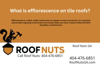 What is efflorescence on tile roofs?