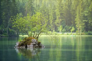 The Power of Retreats Led by Psychotherapists for Those Struggling with Self-Acceptance: 5 Healing Agents of Change