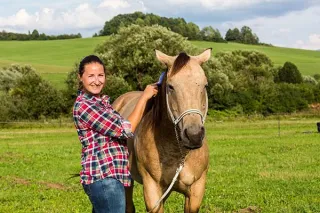 Whispers from the Herd: Chance, the Appaloosa 