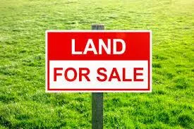 Why Land is the #1 Overlooked Real Estate Investment