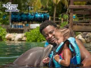 Swimming with Dolphins in Jamaica: Best Family-Friendly Programs (2025 Guide)