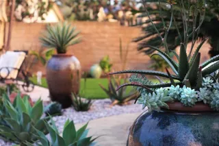 Creating a more Sustainable Landscape