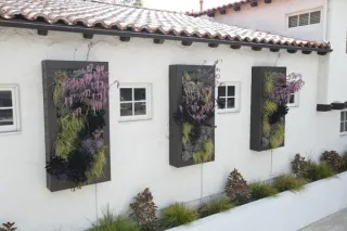 Why Living Walls Are the Ultimate Spring Refresh for Your Space