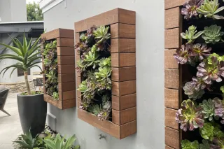 How Living Walls Boost your Mood as Spring Blooms