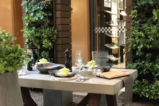 Why Water Efficiency Matters in Biophilic Design