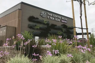 Better Branding Through Biophilia: How Living Walls Elevate Commercial Spaces