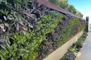 Luxury Meets Nature: Elevating Residential Design with Living Walls
