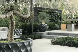 Perfect Pairings: How Habitudes™ Architectural Pottery Complements Living Walls in Biophilic DesignPost