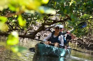 Naples' Rising Tide Explorers Named Among Best Kayak Tours in America