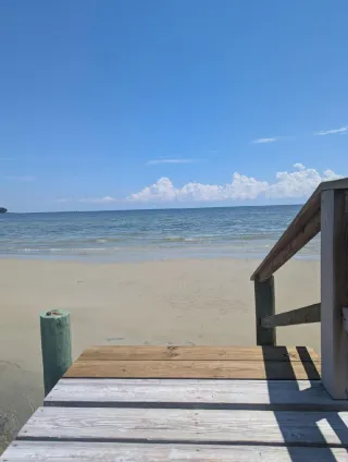 Happy Summer!