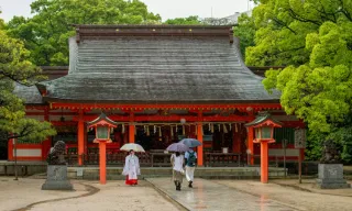 The Power of Recalibration 