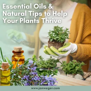 Essential Oils and Garden Hacks for Every Green Thumb