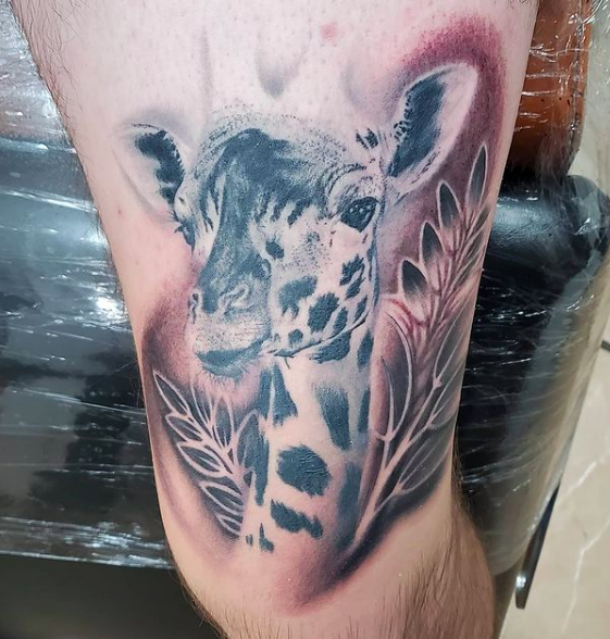 Giraffe