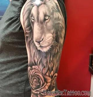 Black and Gray Lion and Roses
