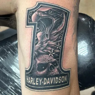 Harley Davidson 1