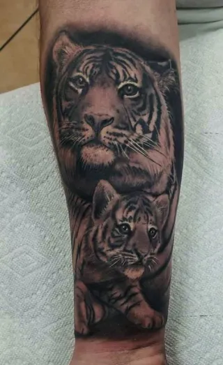 Tiger and Cub