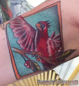 Bird