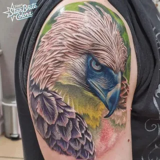 Phillipines Eagle