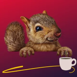 Why Didn't Anyone Tell Me?