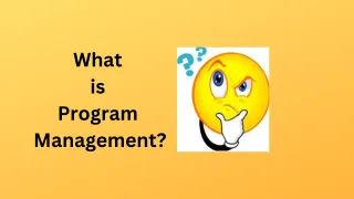 What is Program Management?