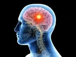 Dementia Can Be Prevented With One Simple Vitamin