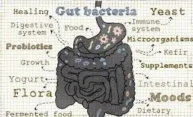 The Gut Health Epidemic: What's Behind the Imbalance?