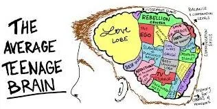 Understanding Teen Brain Development: A Guide for Parents
