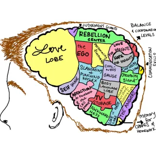 Understanding Teen Brain Development: A Guide for Parents