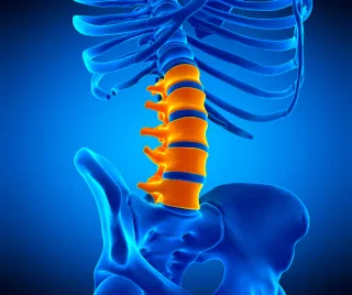 Spinal Stenosis: Why the T12/L1 Junction May Be the Missing Link in Your Pain Relief