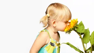 Your Sense of Smell and the Hidden Role of Your Spine