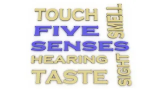 Your Senses Depend on Your Spine: Here’s Why That Matters